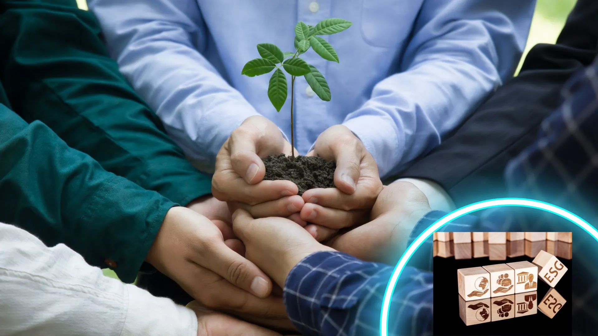 Conseil ADV Solutions spécialiste RSE et relation client Annecy ADV Numérique responsable